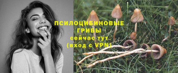 винт Пестово