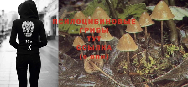 а пвп мука Пересвет