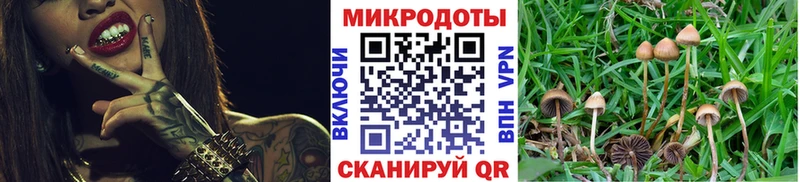 blacksprut как зайти Аксай Галлюциногенные грибы MAGIC MUSHROOMS