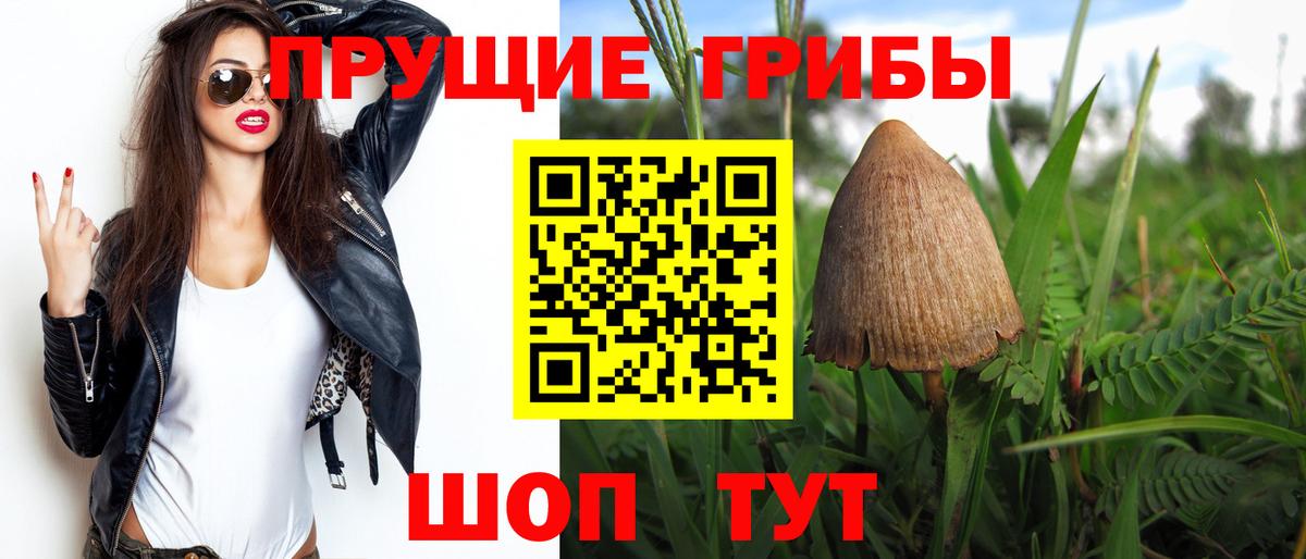 Аксай  Галлюциногенные грибы Cubensis  Вход с VPN 